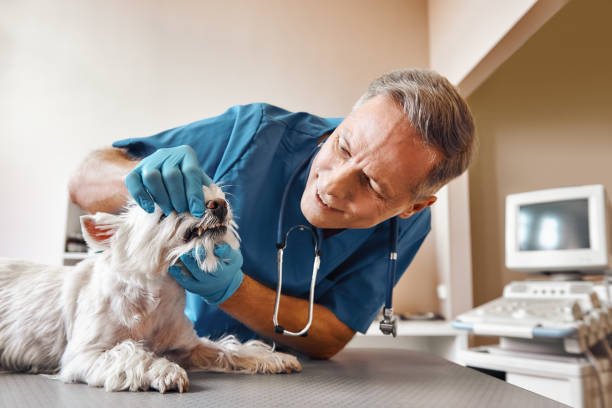  East Franklin, NJ Emergency Dentist Pros