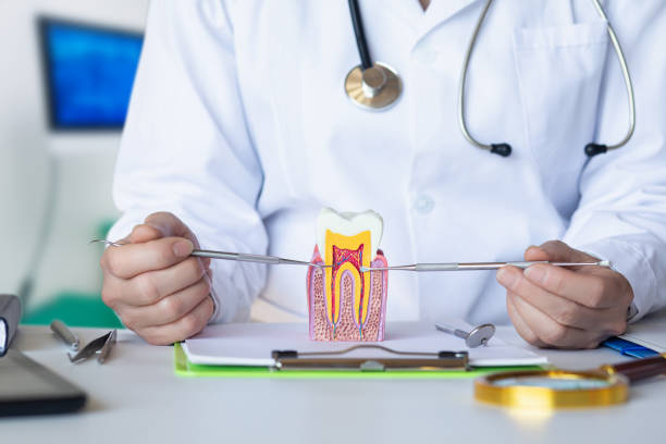 Best Pediatric Emergency Dentist in East Franklin, NJ